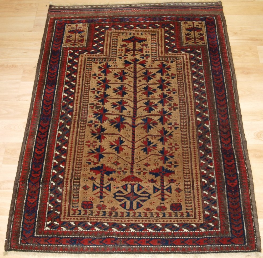 antique baluch prayer rug 'sarakhs' baluch outstanding rug late 19th century